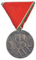 1969. Tanácsköztársasági Emlékérem ezüstözött bronz kitüntetés, eredeti mellszalaggal T:1- NMK 702.