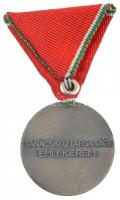 1969. "Tanácsköztársasági Emlékérem" ezüstözött bronz kitüntetés, eredeti mellszalaggal T:...