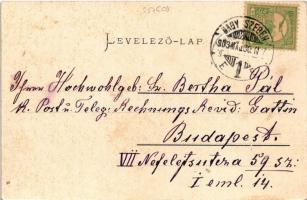 1903 Nagyszeben, Hermannstadt, Sibiu; Saggasse und ev. Kirche / Zsák utca, Evangélikus templom, piac...