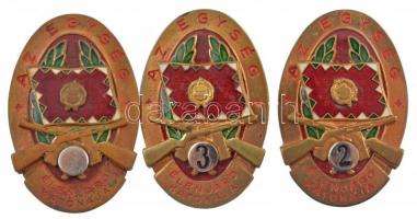 1967-1969. "Az egység élenjáró katonája" a Magyar Néphadsereg zománcozott kitüntető jelvénye (3x), másodszori, harmadszori és csavaros, számozás nélküli későbbi többszörös adományozásra (48x31mm) T:2