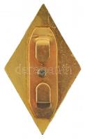 ~1960-1970. "Zalka Máté Katonai Főiskola" aranyozott, festett műgyantás fém jelvény (46x27...