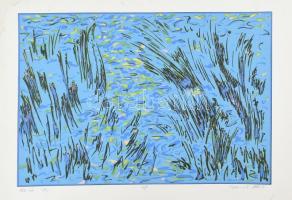 Pollacsek Kálmán (1959-): Kék víz, 1999. Szitanyomat, papír. Jelzett. Számozott: 43/50. Foltos Lap alján szakadással. 40x59 cm