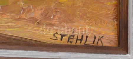 Stéhlik János (1942-2021): Vályogos tó - Tiszapart. Olaj, farost, jelzett, hátoldalán autográf felir...