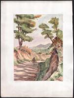 Sostarics Lajos (1896-1968): Petneházi rét. Akvarell, papír, jelzett, kartonra kasírozva, 27x20 cm