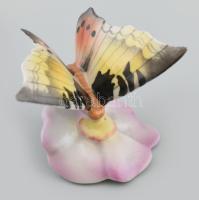 Drasche / Kispest porcelán pillangó, kézzel festett, jelzett, kis kopással, m: 4 cm