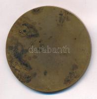 Berán Nándor (1889-1965) 1932. "MAC Evezősosztály túradíj 1932 1000km" bronz díjérem zomán...