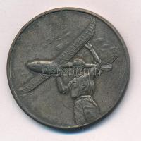 1943. "M. Ae. SZ. (Magyar Aero Szövetség) Országos Modellverseny 1943" kétoldalas, ezüstöz...