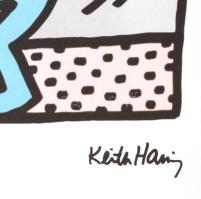 Keith Haring (1958-1990): Andy Mouse. Ofszet - lito papír, jelzett a nyomaton. Számozott: 117 /150. ...