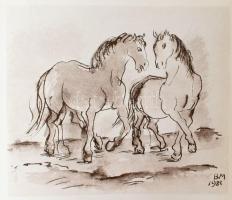 Borsos Miklós rajzai. Bp, 1985, Szépirodalmi Könyvkiadó. Kiadói egészvászon kötés, kiadói kissé sérü...