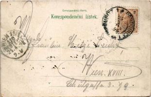 1898 (Vorläufer) Pardubice, Nová radnice, Veverku Pomnik, Dostihy, Kralovska Frída / new town hall, ...