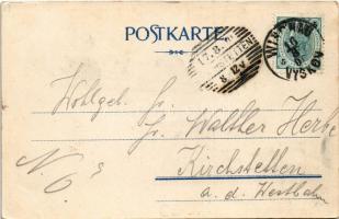 1901 Vyskov, Wischau; Hlg. Maria-Statue, Rathaus, Schloss / Mary statue, town hall, castle. Lit. Th....