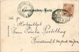 1899 (Vorläufer) Semmering, Ort u. Ruine-Klamm, Weinzöttlwand. Art Nouveau, floral (EK)