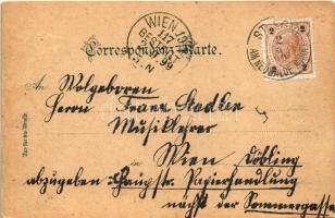 1898 (Vorläufer) Sankt Pölten, Herrenplatz, Kaiser Joseph Statue im Stadtpark, Hauptplatz m. Franzis...