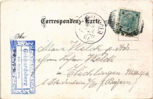 1897 (Vorläufer!) Sankt Gilgen. Ottmar Zieher Art Nouveau, floral, litho (EK)