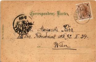 1898 (Vorläufer) Seebenstein, Türkensturz, Sommerfrische Seebenstein m. Schloss, Partie mit Pfarrkir...