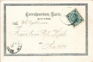 1902 Hallstatt, Hotel Seeauer u. kath. Kirche, Gasthof zum grünen Baum u. Prot. Kirche, Gosauzwang, ...