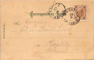 1896 (Vorläufer!!!) Waidhofen an der Thaya, Hotel zum gold. Löwen, Dreifaltigkeitssäule, Hamerling D...