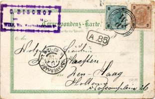 1899 (Vorläufer) Wien, Vienna, Bécs; K.k. Hofburg, Kahlenberg u. Leopoldsberg, Reichsratsgebäude, St...