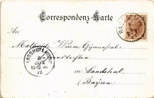 1897 (Vorläufer!) Salzburg, general view. C. Jurischek Kunstverlag Art Nouveau, floral, litho (EK)