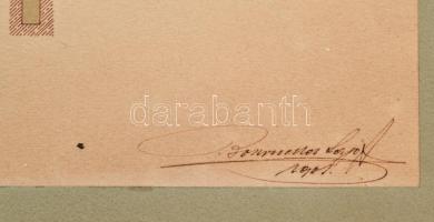 1901 Brassó Árvaház utcai leányiskola és tornaterem tervrajza 3 db terv a tervező .. Lajos autográf ...