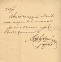 1861 Váltótörvényszéki jegyző bizonyítvány, oklevél Karap Ferenc aláírásával szakadással erősen sérü...