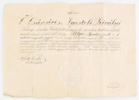 1861 Váltótörvényszéki jegyző bizonyítvány, oklevél Karap Ferenc aláírásával