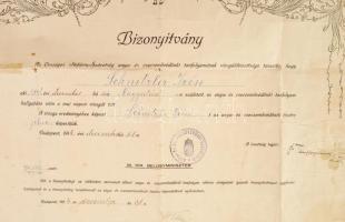 1914 Védőnői oklevél Wlassics belügyminiszter aláírásával 50x40 cm Erősen sérült