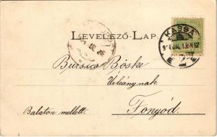 1904 Ránkfüred, Rank-Herlány, Rank Herlein, Herlany (Kassa, Kosice, Kaschau); Magyar gejzír (geyzir)...