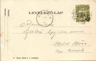 1905 Tövis, Teius; Vasútállomás, pályaudvar felső része, gőzmozdony, vonat. Rézer Adolf p.u. vendégl...