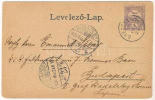 1900 Billéd, Biled; templom, Érsekségi palota, gyógyszertár / Kirche, Erzbischöfliches Castell, Apot...