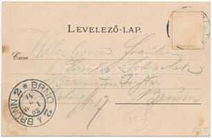 1903 Budapest székesfőváros. Pest-Pilis-Solt-Kis-Kun megye címere és magyar zászló. Athenaeum Rt. kő...