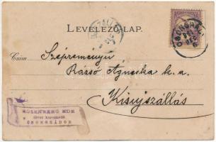 1901 Győr. Győr vármegye Duna-Rábca-Rába címere és magyar zászló. Athenaeum Rt. kőnyomdája, Art Nouv...