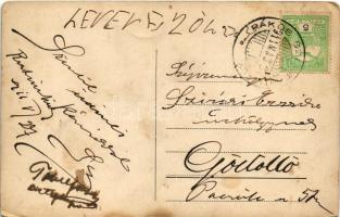 1911 Budapest XVI. Rákosszentmihály, nyaralók, villák madártávlatból (EK)