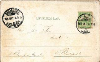 1905 Vác, Naszályi kőbánya (EK)