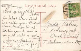 1909 Székesfehérvár, Árpád fürdő. W.L. Bp. 2355. (Rb)