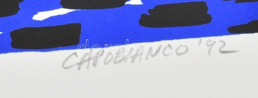 Domenick Capobianco (?-): Zip-Zap!, 1992. Szitanyomat, papír, jelzett, számozott (48/60), 63×83 cm H...
