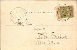 1904 Balatonalmádi, fürdőtelep keleti része. Pósa Endre kiadása (EK)