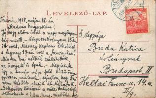 1918 Trencsén, Trencín; Torony utca, kapu, Feldmann Mór üzlete / street, gate, shops (EB)