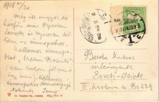 1908 Brassó, Kronstadt, Brasov; Evangélikus szász leány iskola és Lövölde / Ev. sächs. Mädchenschule...