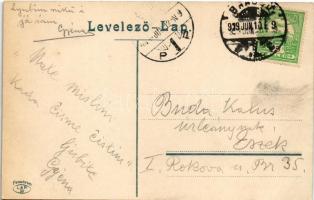 1909 Brassó, Kronstadt, Brasov; park