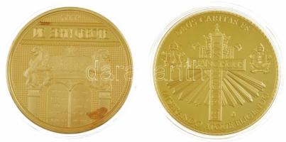 DN "A két pápa történelmi találkozása / XVI. Benedek és Ferenc pápa" aranyozott, részben m...