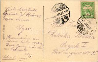 1910 Varasd, Warasdin, Varazdin; Dvorac Bedekovic / kastély / castle, villa