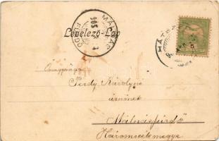 1905 Hátszeg, Hateg; Fő tér, Stefan Sielariu üzlete. Meskó testvérek kiadása / main square, shops (E...