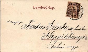 1901 Pöstyén, Piestany; Zenepavilon zenekarral / Curmusikpavillon / spa music pavilion, band (fa)