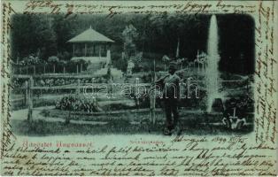 1899 (Vorläufer) Nevicke, Nevytske, Nyevicke (Ungvár, Uzshorod, Uzhorod); vár kert, vadász puskával / castle park, hunter with gun (EK)