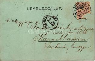 1899 (Vorläufer) Nevicke, Nevytske, Nyevicke (Ungvár, Uzshorod, Uzhorod); vár kert, vadász puskával ...