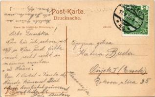 1909 Wien, Vienna, Bécs IX. Alserbachstrasse, Thee Branntweinschank, Haltestelle Strassenbahn, Schne...