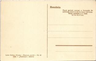 Sinaia, Castelul Peles, iarna / castle in winter