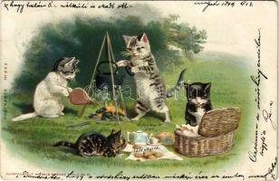 1899 (Vorläufer) Macska piknik / Cat picnic. Kunstanstalt Wilhelm Boehme Postkarte No. 222. litho (EK)