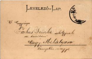 1899 (Vorläufer) Korcsolyázó macskák / Cats ice skating. litho (Rb)